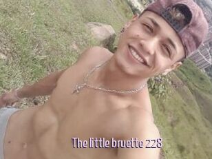 The_little_bruette_228