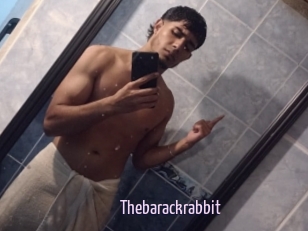 Thebarackrabbit