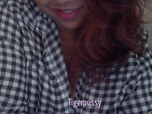 Tigerpussy