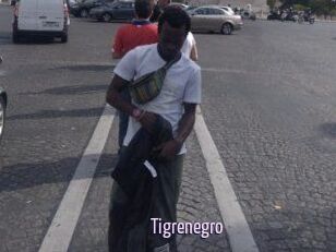 Tigrenegro