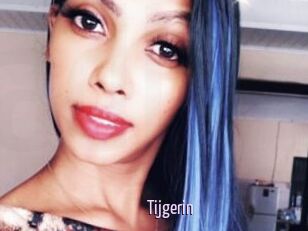 Tijgerin