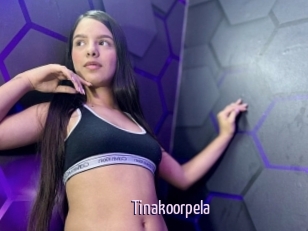 Tinakoorpela