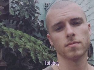 Tofu_boy
