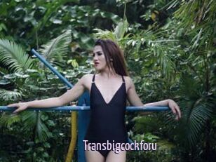 Transbigcockforu