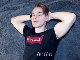 VeinsViet