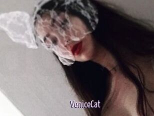 VeniceCat