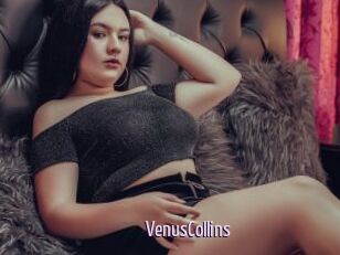 VenusCollins