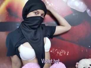 Viollet_hot