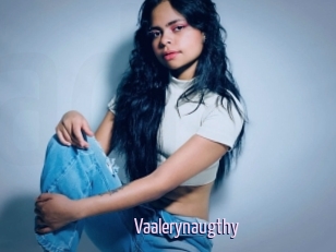 Vaalerynaugthy