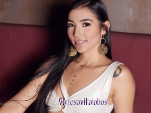 Vanesavillalobos