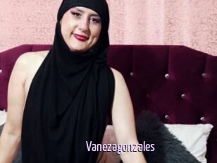 Vanezagonzales