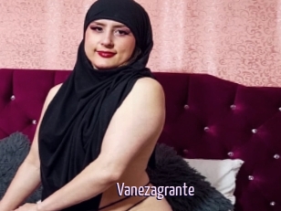 Vanezagrante