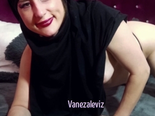 Vanezaleviz