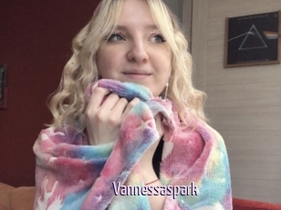 Vannessaspark