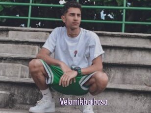 Velamikbarbosa
