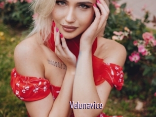 Velunavice