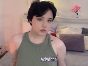 Velvdone