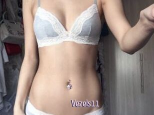 Vezels11