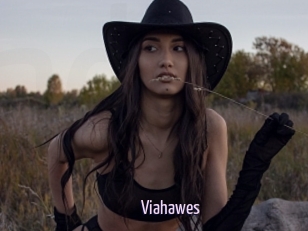 Viahawes
