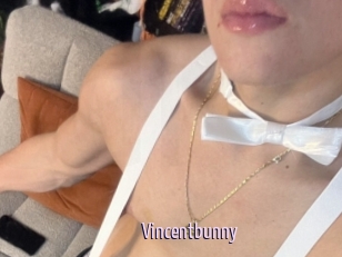 Vincentbunny