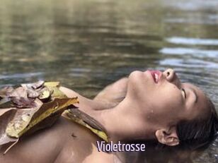 Violetrosse