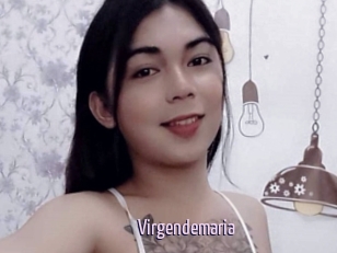 Virgendemaria