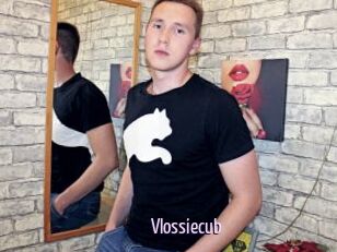 Vlossiecub