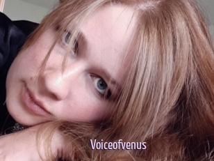 Voiceofvenus