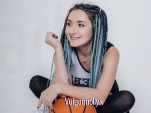 Vulgarmollyx