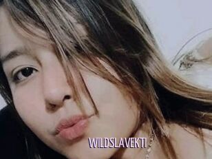 WILDSLAVEKTI