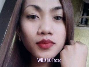 WILD_HOTrose