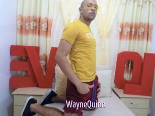 WayneQuinn