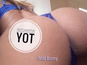 Wild_Bunny_