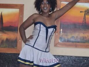 Wildcat30