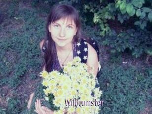 Wildcumster