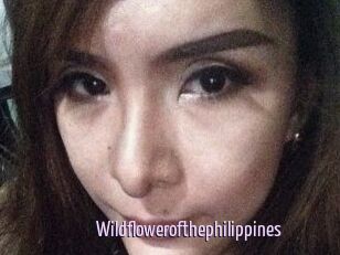 Wildflowerofthephilippines
