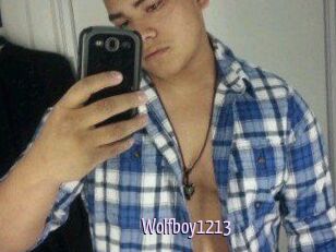 Wolfboy1213