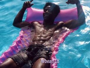 Wbeam18