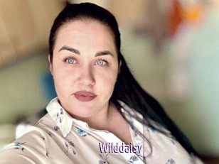 Wilddaisy