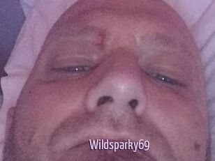 Wildsparky69