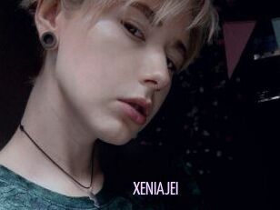 XENIA_JEI