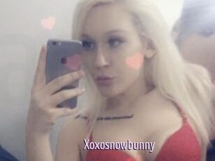 Xoxosnowbunny