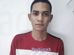 Xboybiigcock