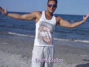YourHotStallion