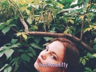 YourMeowKitty