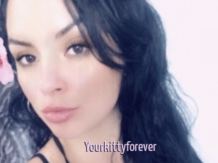 Yourkittyforever