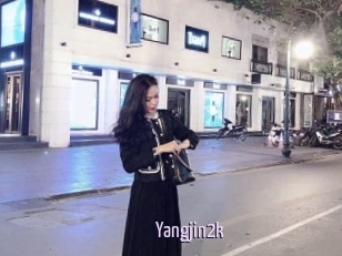 Yangjin2k