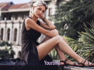 Yourbird