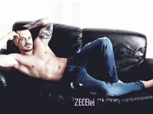 ZECElei