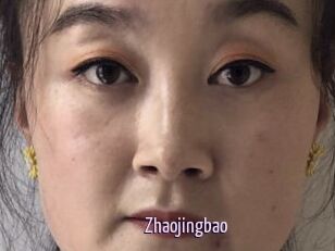 Zhaojingbao